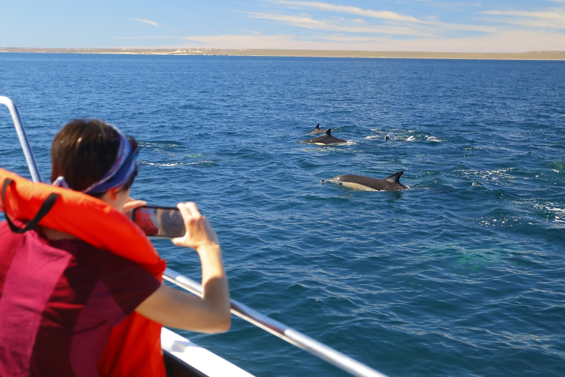 Paseo Nautico aventura con delfines en Puerto Madryn